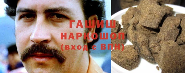 хмурый Алексин